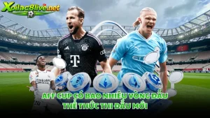 AFF Cup Có Bao Nhiêu Vòng Đấu