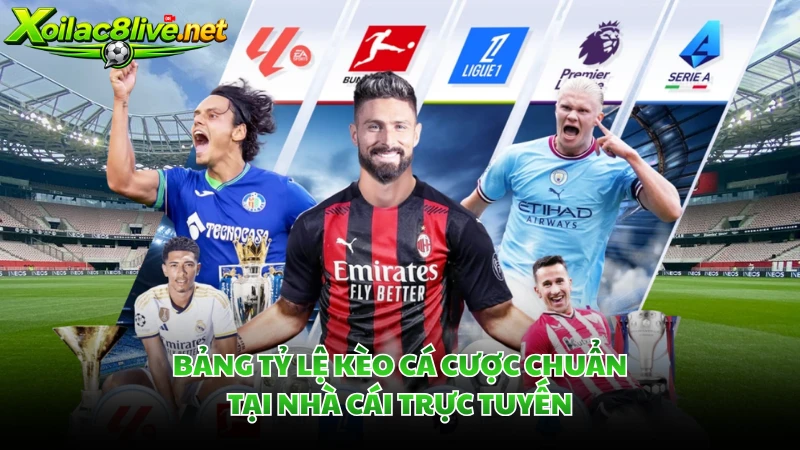 Bảng tỷ lệ kèo cá cược chuẩn tại nhà cái trực tuyến.