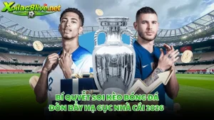 Bí Quyết Soi Kèo Bóng Đá