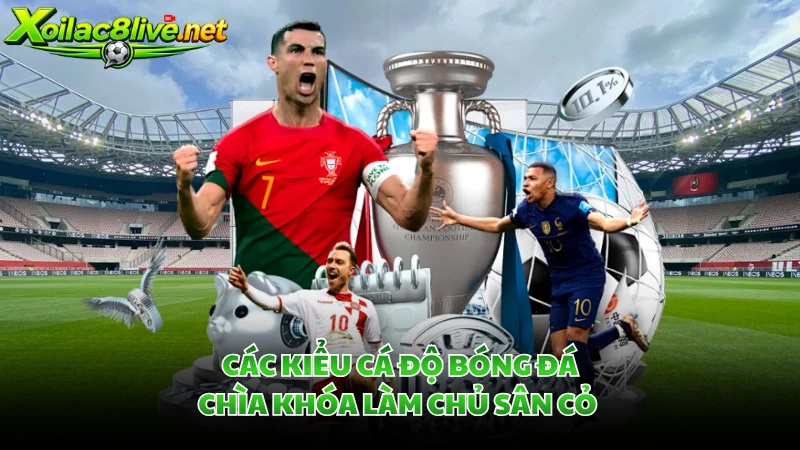 Các Kiểu Cá Độ Bóng Đá