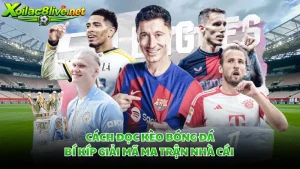 Cách Đọc Kèo Bóng Đá