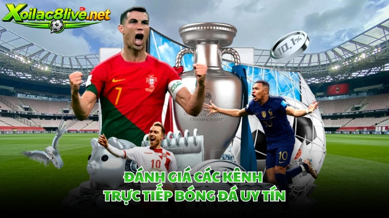 Đánh giá các kênh trực tiếp bóng đá uy tín.