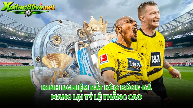 Kinh nghiệm bắt kèo bóng đá mang lại tỷ lệ thắng cao