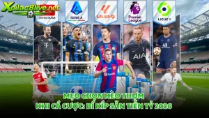 Mẹo Chọn Kèo Thơm Khi Cá Cược
