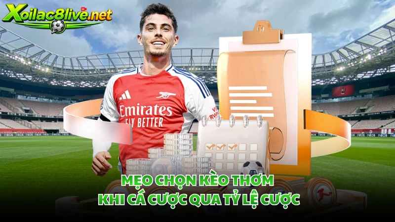 Mẹo chọn kèo thơm khi cá cược qua tỷ lệ cược