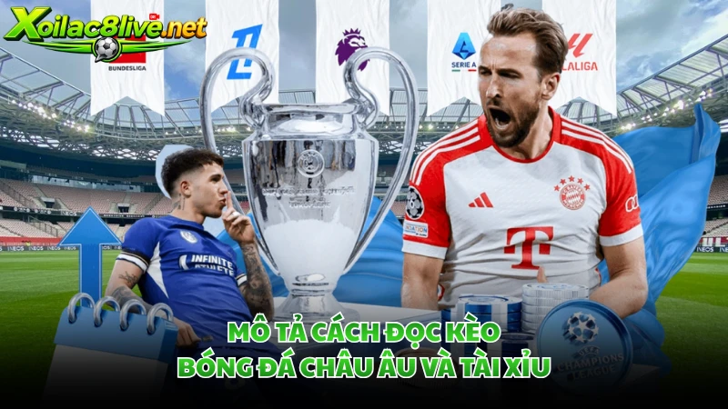 Mô tả cách đọc kèo bóng đá Châu Âu và Tài Xỉu.