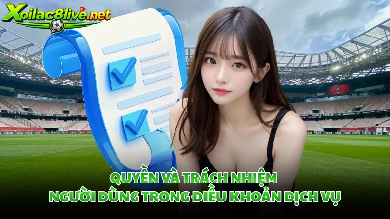 Quyền và trách nhiệm người dùng trong điều khoản dịch vụ