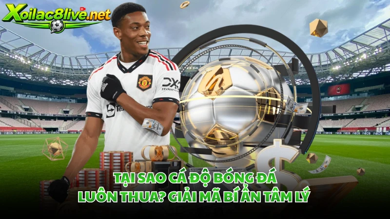 Tại Sao Cá Độ Bóng Đá Luôn Thua
