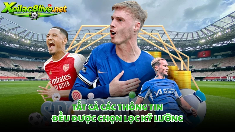 Tất cả các thông tin đều được chọn lọc kỹ lưỡng